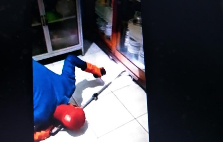 Heboh Biawak Masuk Rumah Makan di Jepara, Petugas Damkar Sempat Kesulitan Mengevakuasi