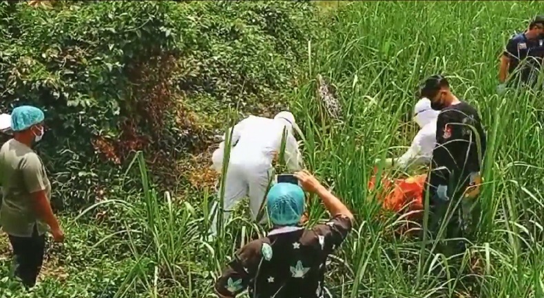 Mayat Pria Lansia Ditemukan Membusuk di Kebun Tebu Jember, Petugas Evakuasi Pakai APD