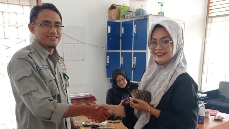 Dapat Kucing Hutan dari Teman, Mahasiswi Cantik di Solok Serahkan Bayi Kuwuk ke BKSDA