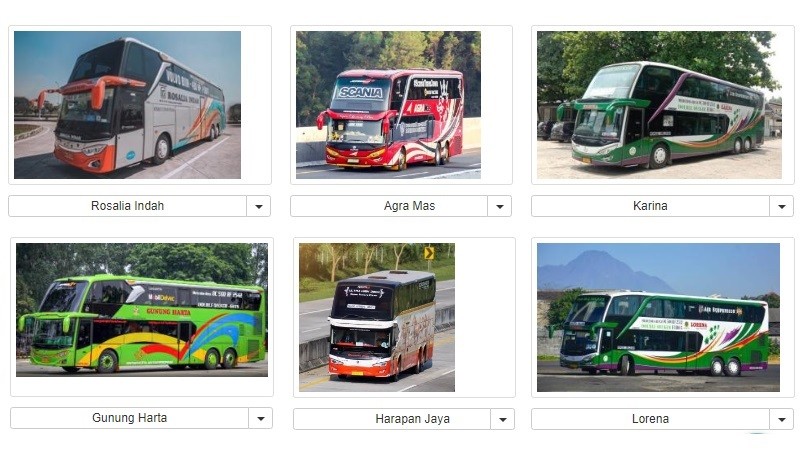 5 PO Bus Pemilik Double Decker Terbanyak di Indonesia, Ada yang Sampai Dapat Rekor MURI