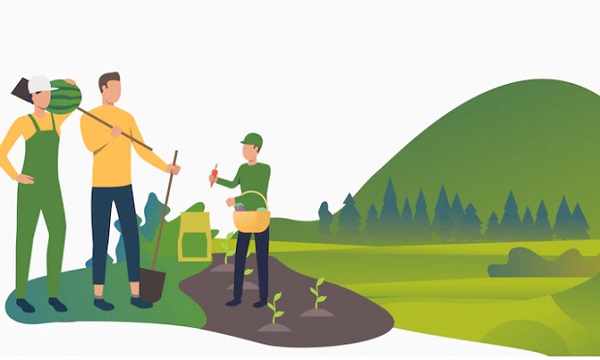 6 Contoh Peranan Ilmu Kimia dalam Bidang Pertanian, yang Harus Kalian Ketahui!