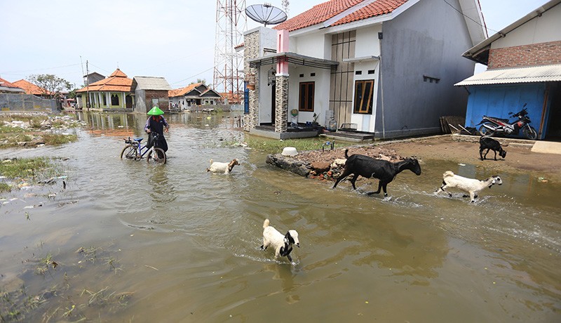 Sejumlah Daerah Diminta Waspada Banjir Rob hingga Pertengahan November 2022, Ini Daftarnya