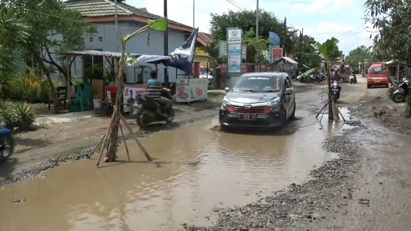Protes Jalan Rusak Tak Kunjung Diperbaiki, Warga Siwuluh Brebes Tanami Pohon Pisang