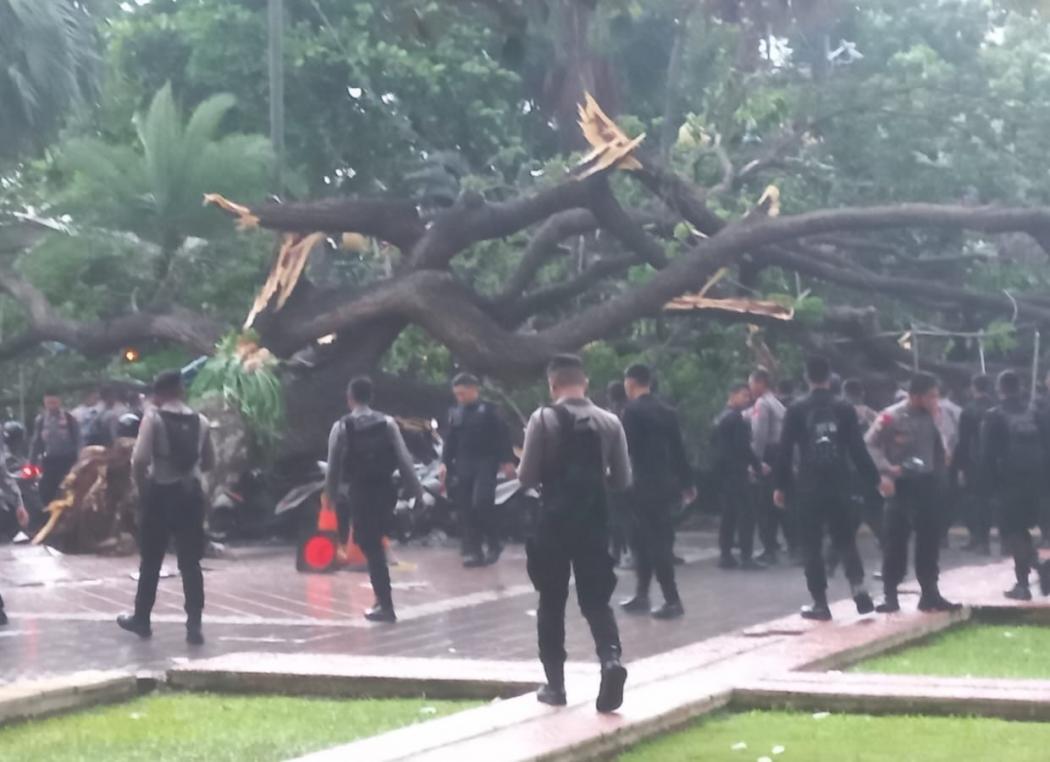 6 Orang Terluka akibat Pohon Tumbang di Balai Kota, Ini Kata Pj Gubernur Heru