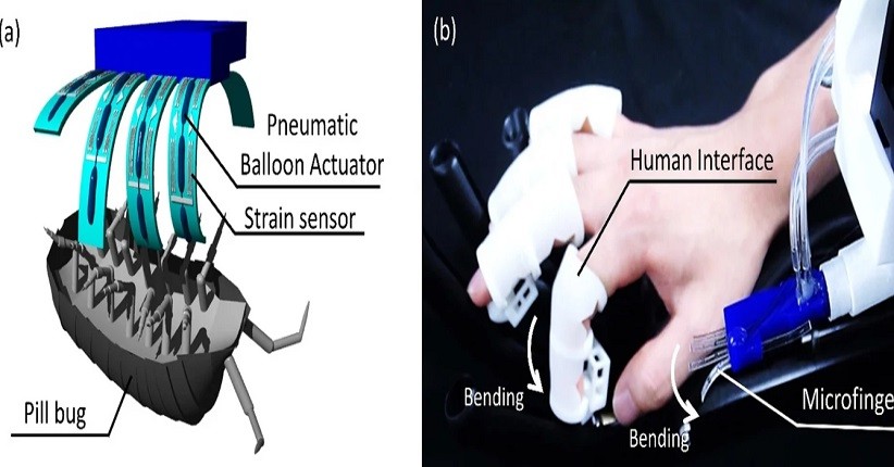 Keren, Jari Robot Kecil Ini Mungkinkan Manusia Berinteraksi dengan Serangga