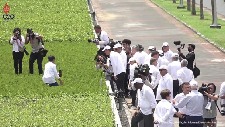 Joe Biden Asyik Ngobrol dengan Macron saat Jokowi Perlihatkan Mangrove