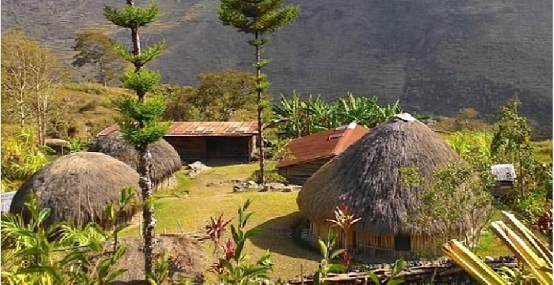 Mengenal Honai, Rumah Adat Papua yang Unik dan Penuh Filosofi