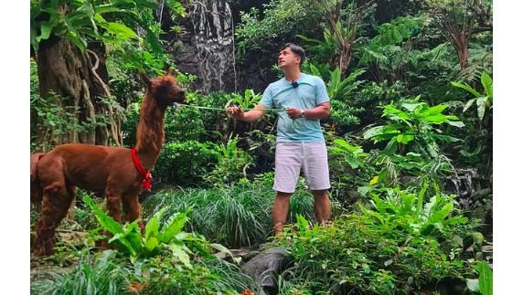 3 Artis Punya Aviary Raksasa Pelihara Ratusan Jenis Burung Langka, Ada yang Seluas Rumah 