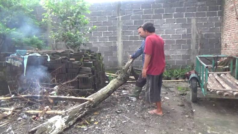 Guru Ngaji di Jombang Tewas Tertimpa Pohon saat Boncengi Murid