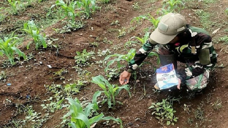 Satgas Citarum Harum Sulap Sungai Mati Jadi Lahan Produktif, Berkali-kali Panen