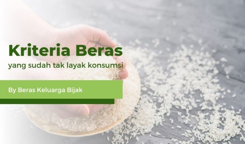 Berbahaya, Ini Kriteria Beras yang Sudah Tak Layak Konsumsi