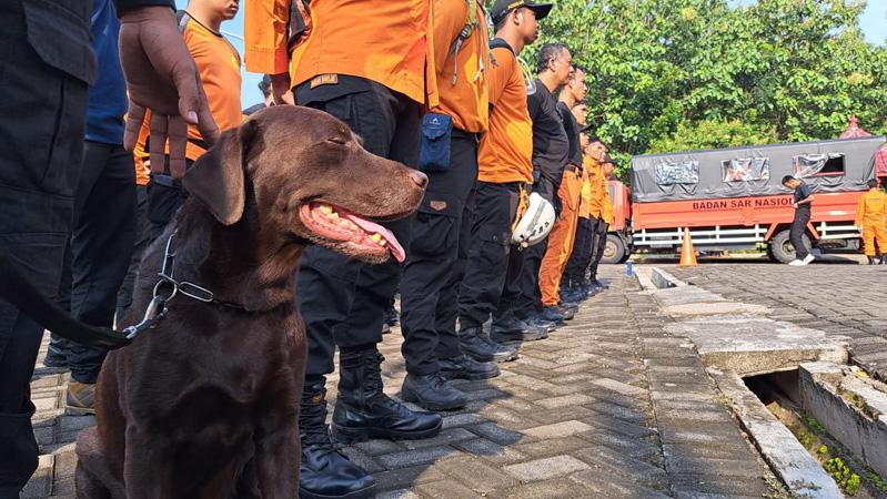  Basarnas Semarang Kirim Tim Medis hingga Anjing Pelacak Bantu Penanganan Gempa Cianjur