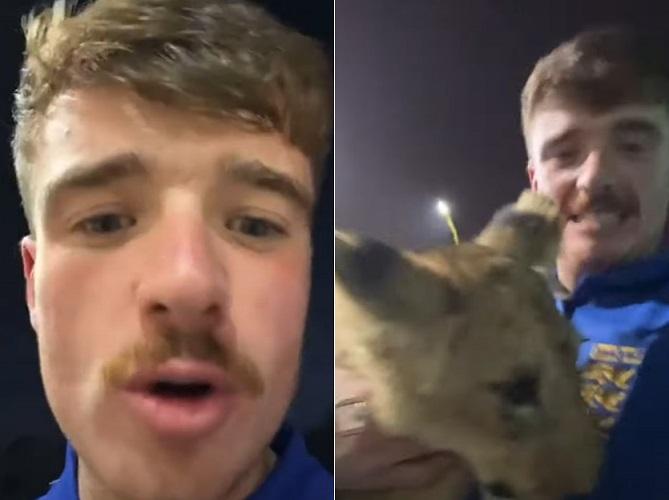 Kisah Unik Fans Timnas Inggris di Piala Dunia 2022, Cari Bir Malah Ketemu Singa