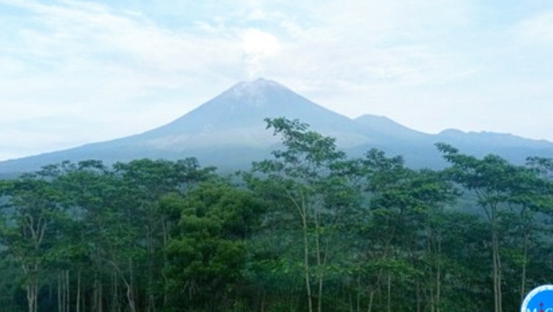 Gunung Semeru Lontarkan Abu Setinggi 700 Meter, Warga Dilarang Beraktivitas di Besuk Kobokan