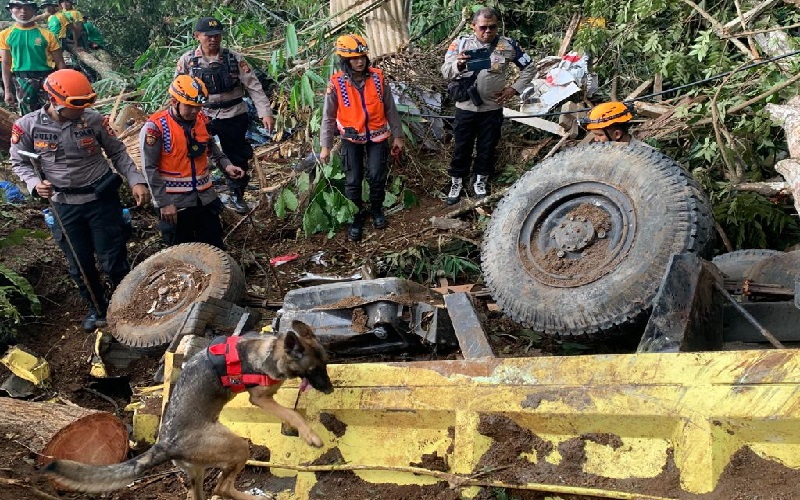 Anjing Pelacak Temukan Titik Diduga Korban Tertimbun Longsor di Cugenang Cianjur