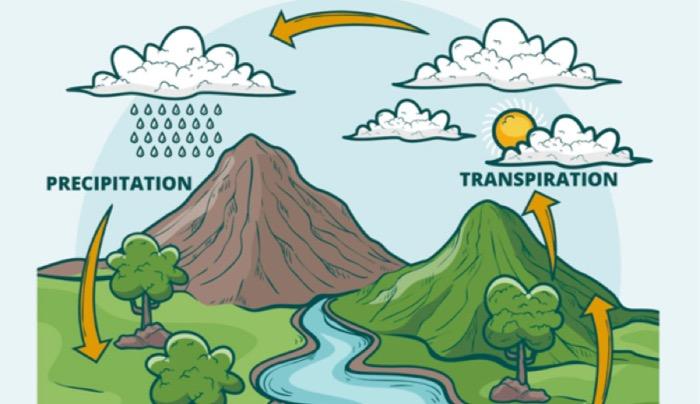 Presipitasi Adalah Proses Jatuhnya Air Hujan, Ini Pengertian, Proses dan Jenis-jenisnya