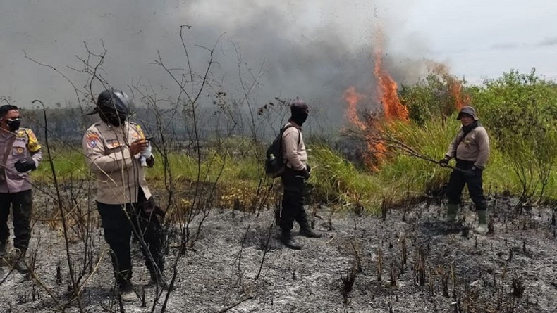 Ingat, Pemerintah Daerah Harus Siap Siaga Hadapi Karhutla