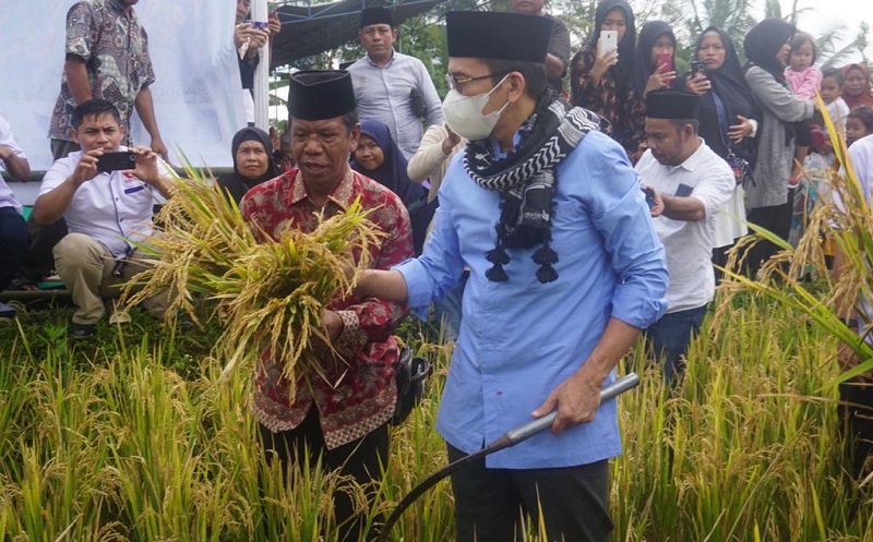 Hadiri Panen Perdana, TGB Zainul Majdi Apresiasi Pengembangan Pertanian Organik PETA NWDI