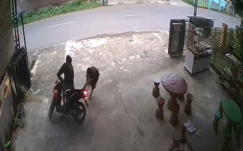 Heroik! Mahasiswi Berdaster di Lubuklinggau Bikin Begal Motor Tak Berdaya