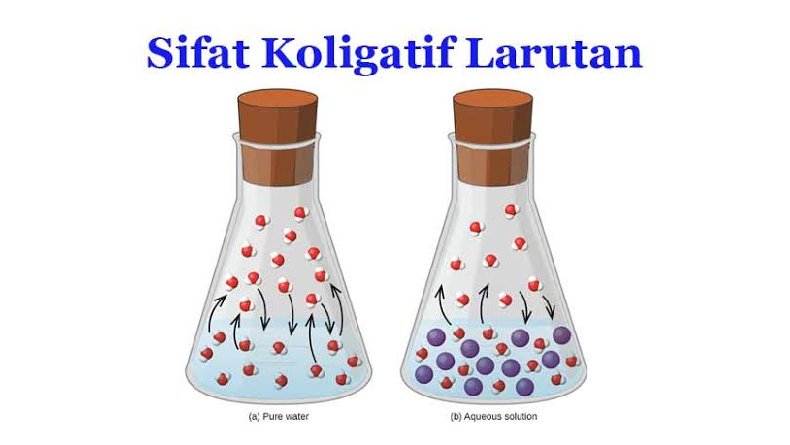 Sifat Koligatif Larutan dan Klasifikasinya