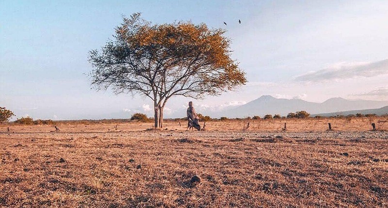 Taman Nasional Tertua di Indonesia, Surganya Flora dan Fauna Ada yang Mirip Afrika 