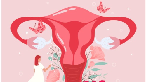Proses Menstruasi Secara Singkat pada Wanita, Ini 3 Fase Utamanya