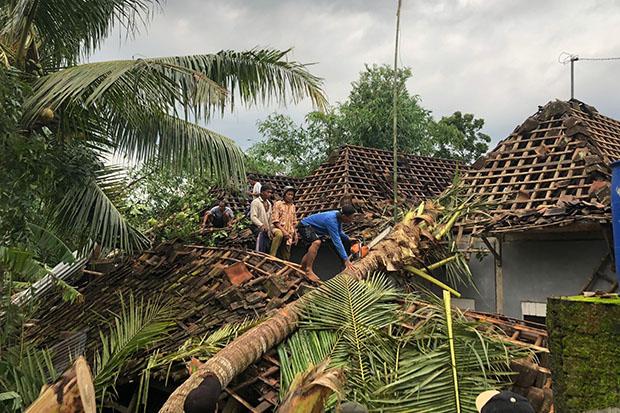 Diterjang Angin Puting Beliung, Puluhan Rumah di Selopamioro Bantul Rusak Tertimpa Pohon
