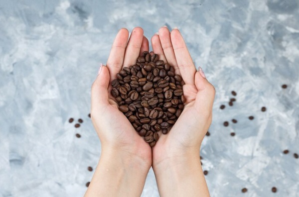 Perbedaan Robusta dan Arabika, Biji Kopi yang Paling Banyak Disukai