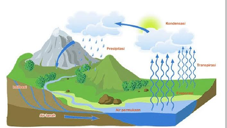 Kondensasi adalah? Pendaki Wajib Tahu Cara Mengatasinya di Dalam Tenda