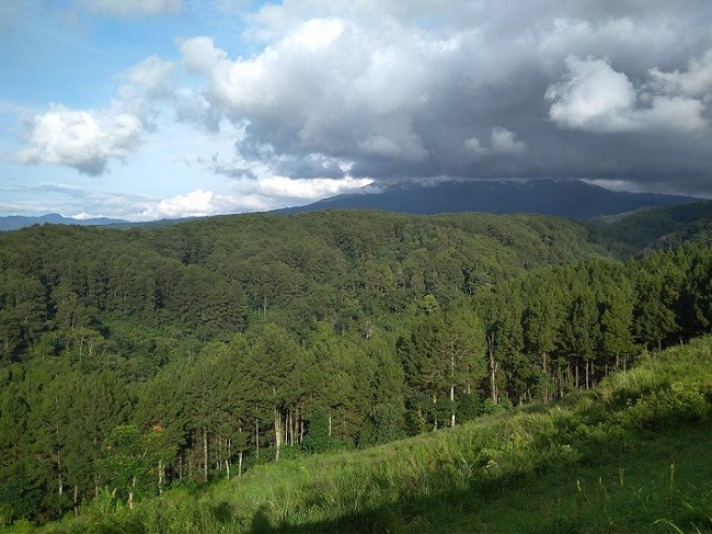 MNC Land dan Balai Besar Taman Nasional Gunung Gede Pangrango Kembangkan Lido Nature Park 