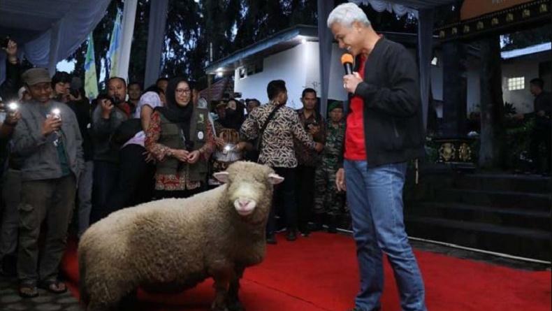 Banjarnegara Optimalkan Program Upland untuk Integrasi Ternak Domba dan Kopi