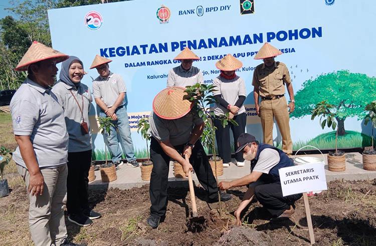 Dukung Green Economy dan Cegah Pencucian Uang, PPATK Tanam 1.000 Pohon Alpukat