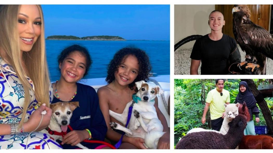 5 Artis Rela Habiskan Uang demi Hewan Peliharaan, Nomor 4 Biaya Perawatan Anjingnya Rp600 Juta per Tahun 