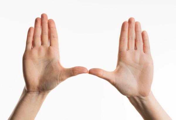 4 Fungsi Tulang Pengumpil pada Tubuh Manusia, Siswa Wajib Tahu!