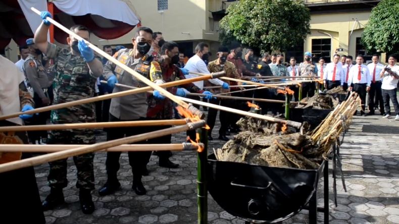 Polda Aceh Bakar Barang Bukti 411 Kilogram Ganja 