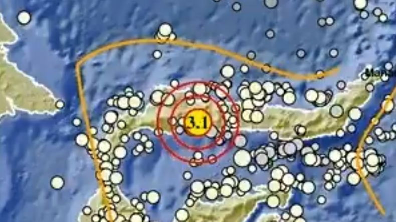 Gempa Magnitudo 3,1 Guncang Pohuwato Gorontalo
