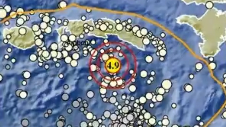 Gempa Terkini Magnitudo 4,9 Guncang Maluku Tengah