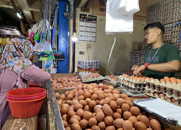 Harga Telur Ayam Ras Turun Jelang Natal, Capai Rp30.000 per Kg