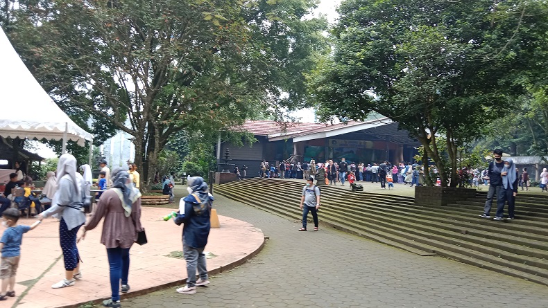 Gubernur Jabar Dukung Pemkot Bandung Kelola Kebun Binatang, Ini Alasannya