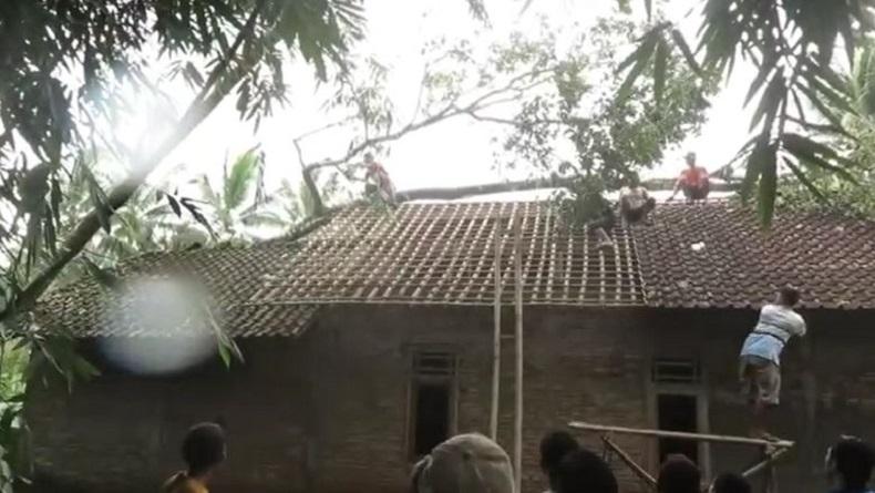 Puting Beliung di Purworejo, 2 Rumah Rusak Tertimpa Pohon Tumbang
