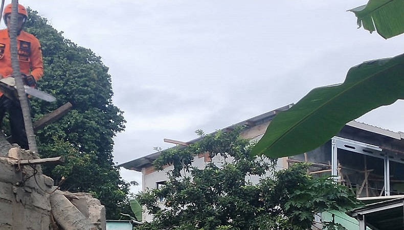 1 Rumah di Bogor Rusak Tertimpa Pohon akibat Hujan Disertai Angin Kencang