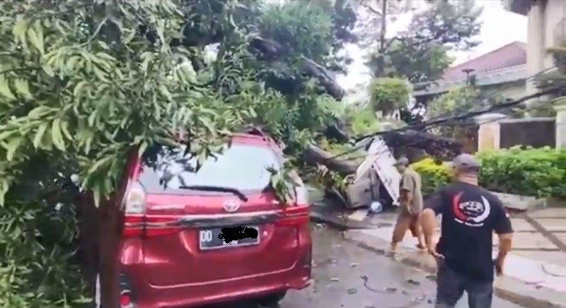 Pohon Tumbang Timpa 2 Mobil di Makassar, Ibu dan Anak Selamat