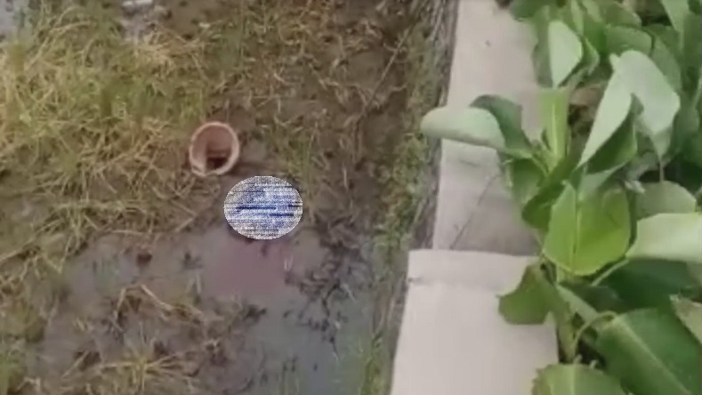 Hendak Bajak Sawah, Petani Digegerkan Temuan Mayat Bayi dalam Tas di Sidoarjo