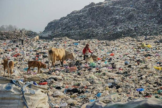  DLH Bantul Secara Bertahap Mulai Stop Layanan Pengambilan Sampah 