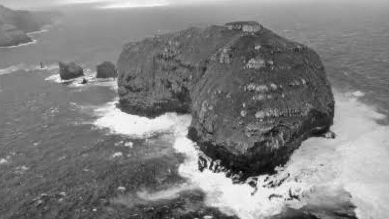 Negara-negara yang Terletak Paling Selatan di Dunia, Dari Cagar Alam Sampai Jadi Warisan Dunia