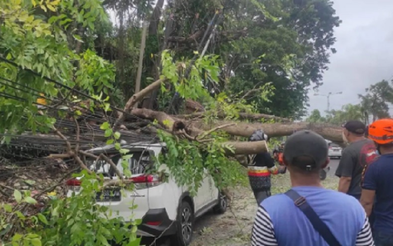BMKG Denpasar : Waspada Angin Kencang hingga 46 KM per Jam di Bali