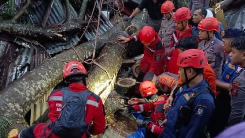 Pohon Tumbang Timpa Rumah Warga di Makassar, 2 Tewas, 1 Orang Dirawat di RS