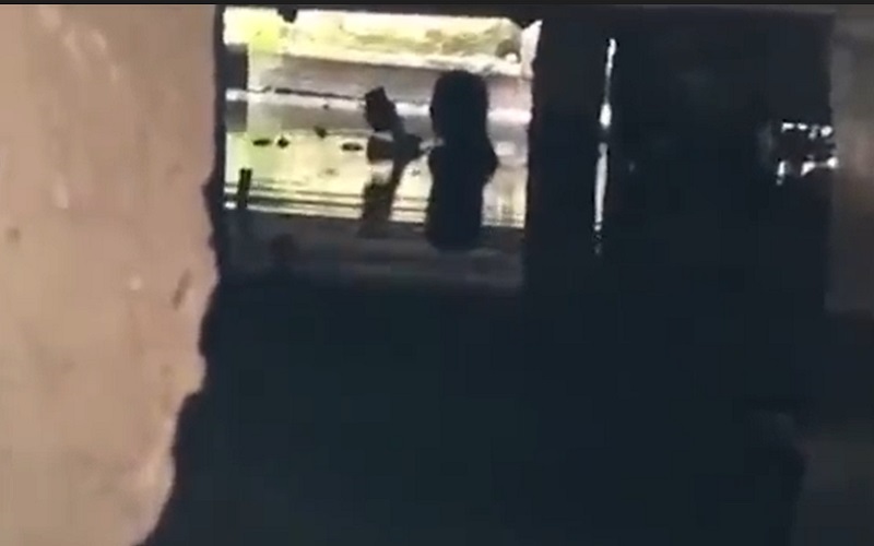 Heboh, Perempuan Pakai Rok Mini Ceburkan Diri ke Parit Berlumpur Hitam di Palembang 