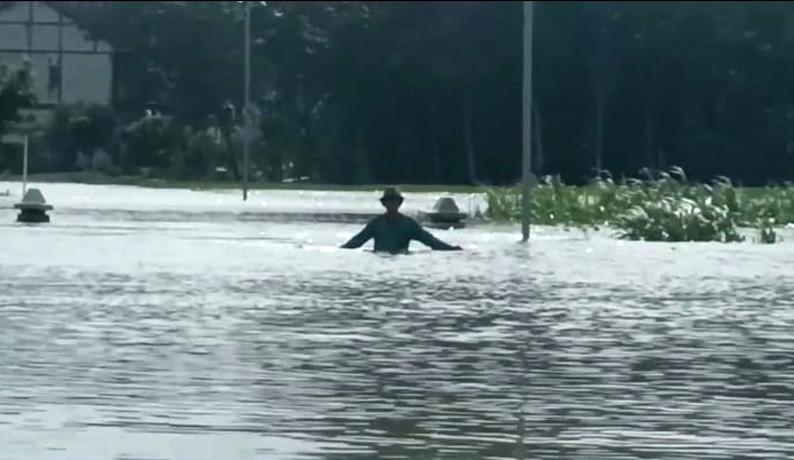 Ribuan Hektare Sawah Terendam Banjir, Petani di Pati Rugi Puluhan Miliar Rupiah
