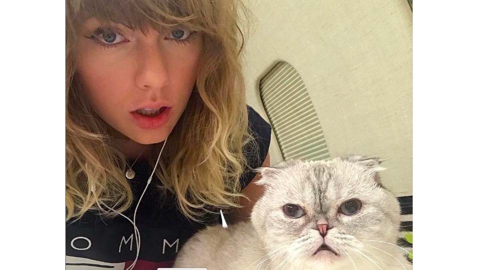 Mengejutkan Kekayaan Kucing Artis Cantik Ini Mencapai Rp1,5 Triliun